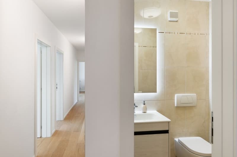 Favoloso Appartamento 5.5 locali, con Vista Lago e Piscina a Montagnola, Svizzera (8)