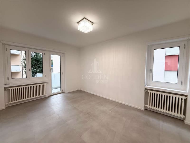 3.5 locali completamente ristrutturato con giardino privato (5)