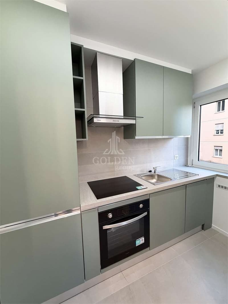 3.5 locali completamente ristrutturato con giardino privato (4)