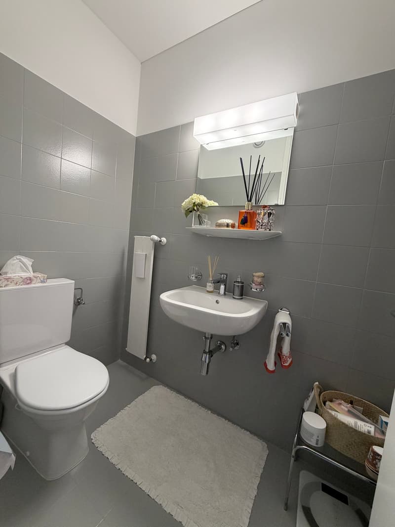 Bathroom with white toilet, sink, mirror, and towel rack