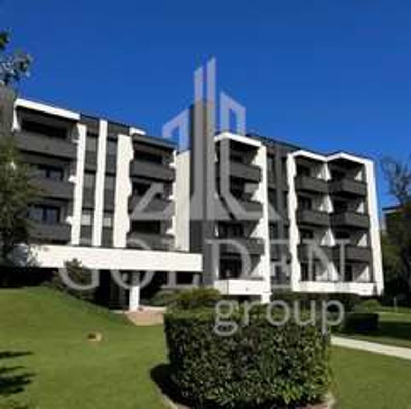 3.5 locali luminoso con vista aperta in residenza rinnovata (12)