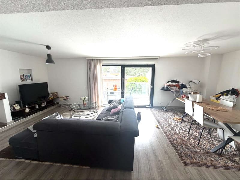 Splendida casa di 5.5 locali con terrazzo panoramico e unità indipende (6)