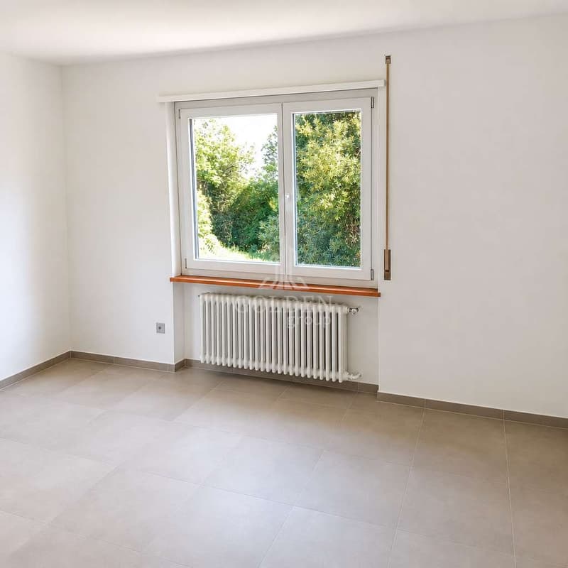 Ampio 4.5 locali ristrutturato con giardino privato a Tremona (7)