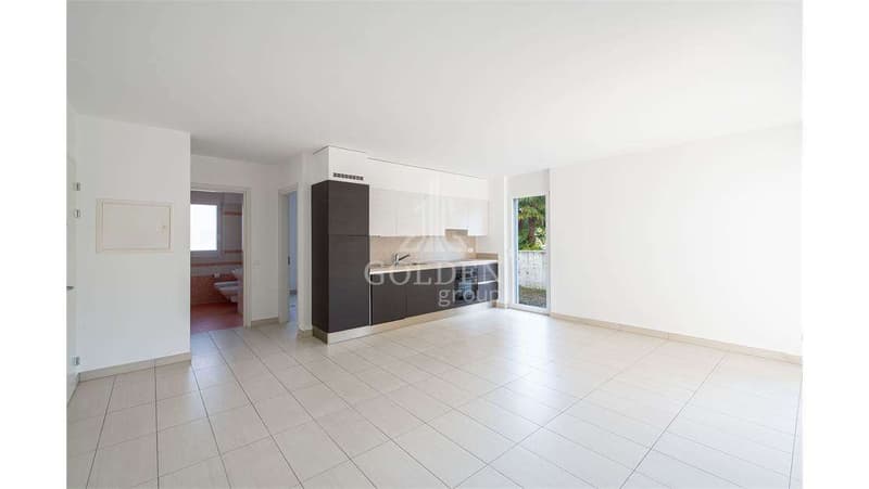 Ampio 2.5 locali con posteggio e giardino privato (2)