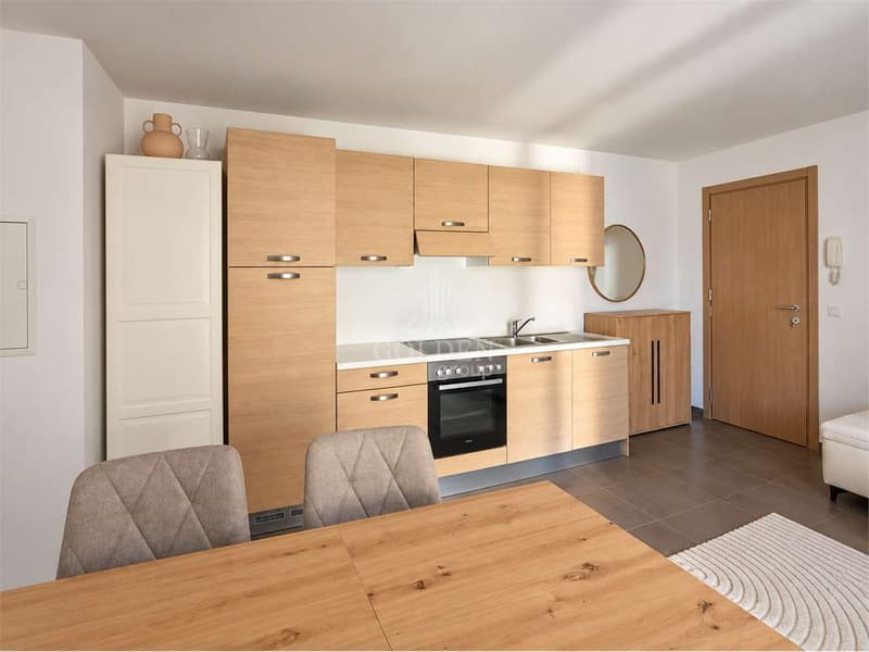 Pregassona: luminoso 2,5 locali con grande portico (4)