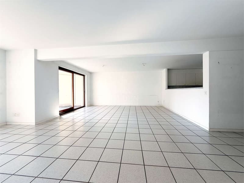 AMPIO 4.5 LOCALI CON GIARDINO PRIVATO A VEZIA (3)