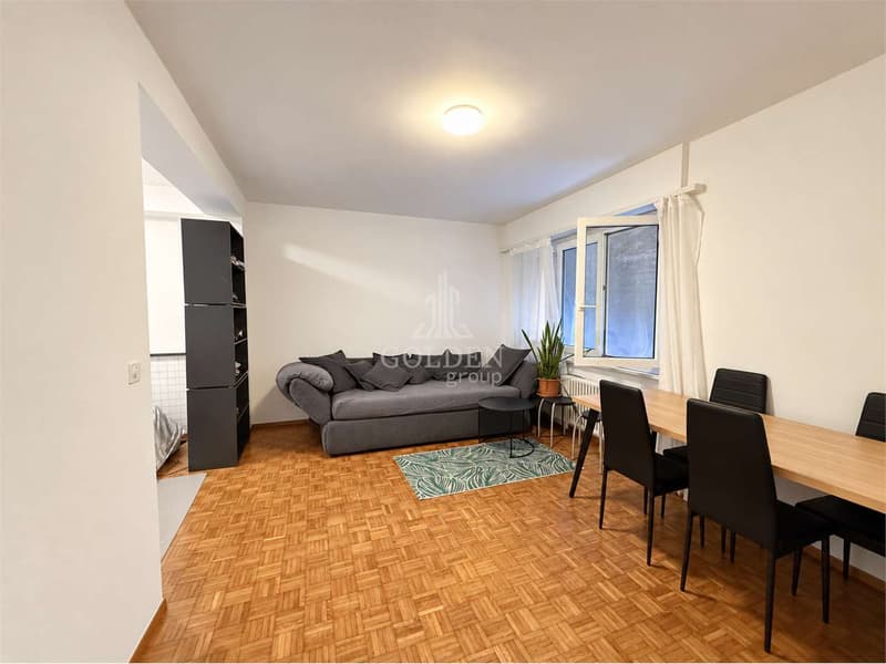 Monolocale con cucina separata a Pazzallo, ideale anche per investimen (2)