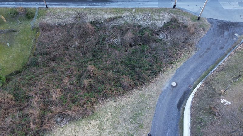 Large lot with overgrown bushes and dirt path.