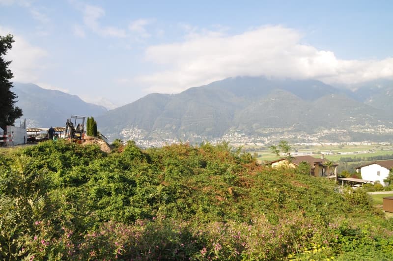 a large expanse of natural vegetation with a view of a mountainous area