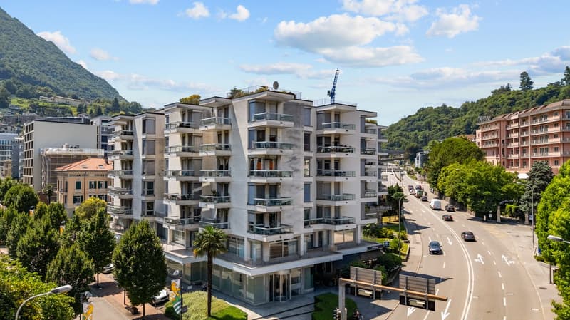 Elegante appartamento di 4 locali a Paradiso a due passi dal lago (2)
