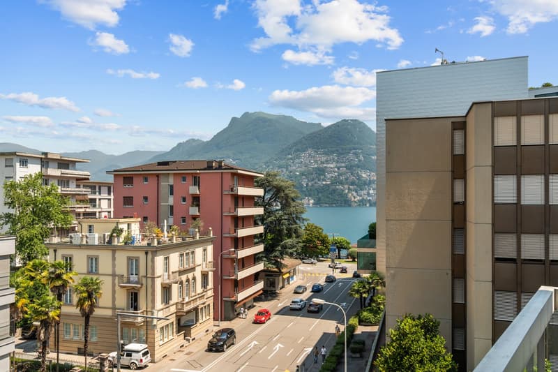 Elegante appartamento di 4 locali a Paradiso a due passi dal lago (9)