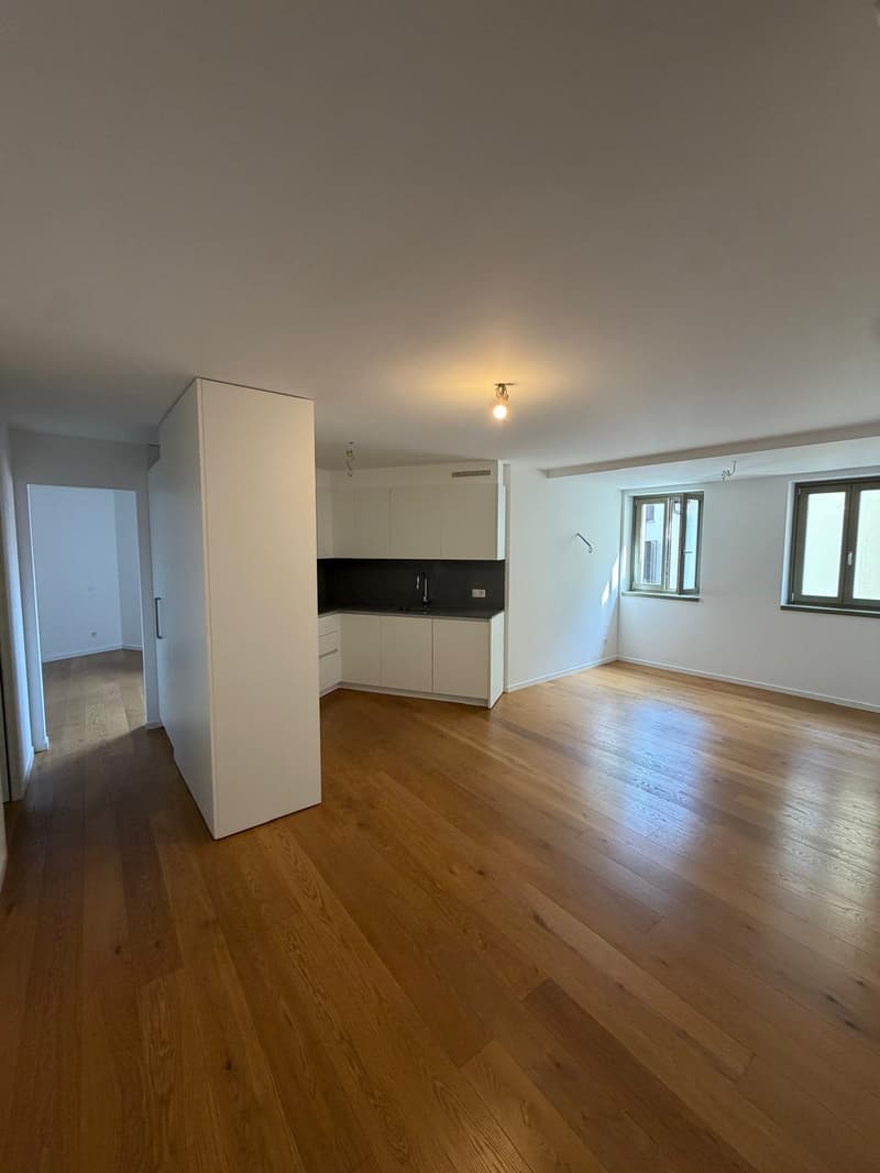 2.5 locali completamente rinnovato a Breganzona – luminoso, tranquillo e ben servito (4)