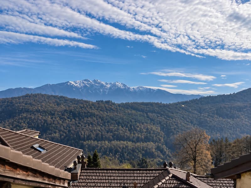 Casa unifamiliare di carattere o investimento da cogliere nel cuore di Collina d’Oro: (10)