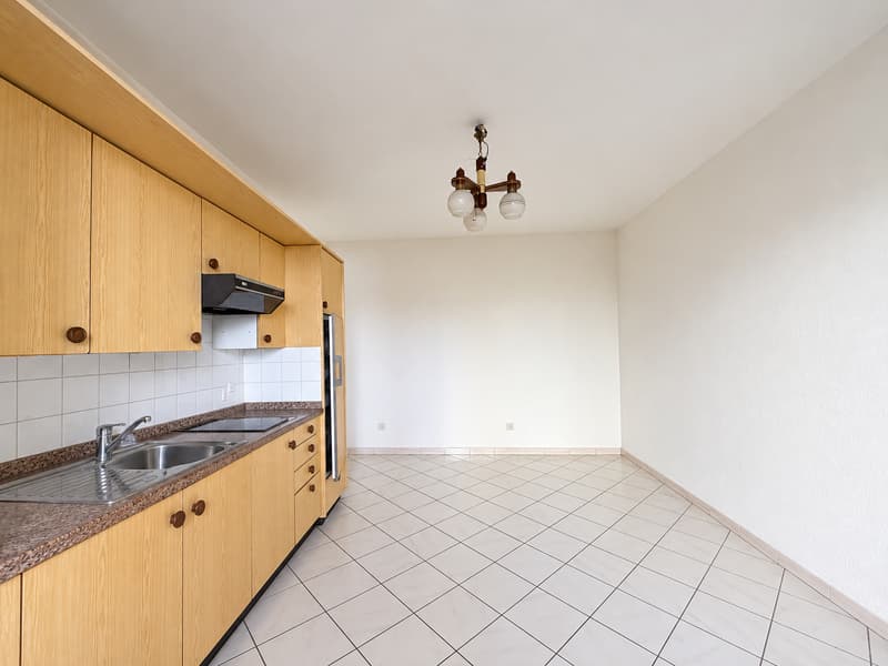 Collina d’Oro: potenziale a reddito o una casa di 7 locali tutta da vivere (13)