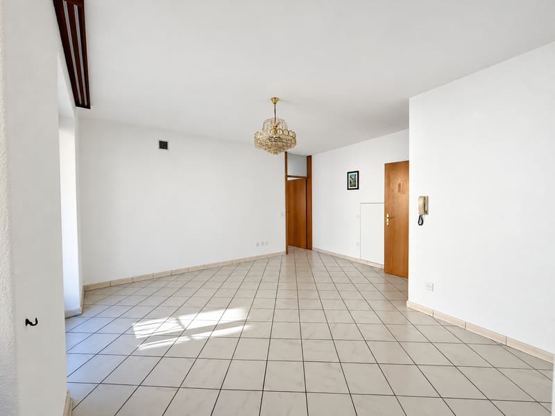 Collina d’Oro: potenziale a reddito o una casa di 7 locali tutta da vivere (4)