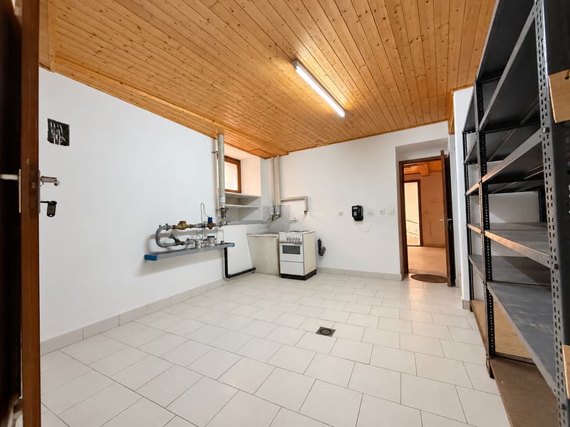 Collina d’Oro: potenziale a reddito o una casa di 7 locali tutta da vivere (18)