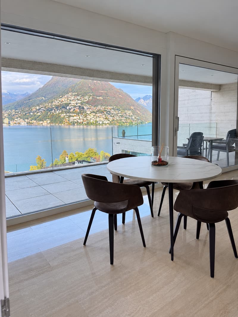 Stunning 3.5-Room Apartment with Panoramic Lake & Mountain Views in Paradiso (3)