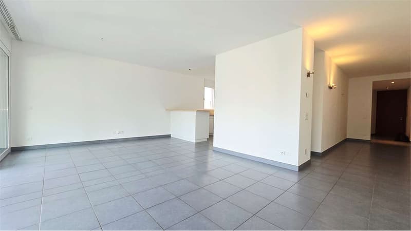 Elegante 3.5 locali con grande terrazza - Pregassona (8)