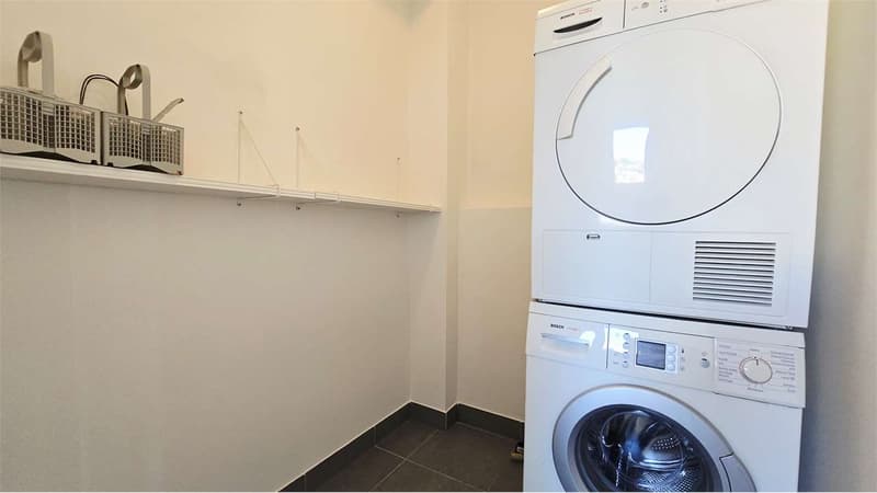 Elegante 3.5 locali con grande terrazza - Pregassona (11)