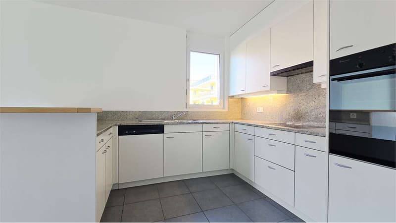 Elegante 3.5 locali con grande terrazza - Pregassona (10)