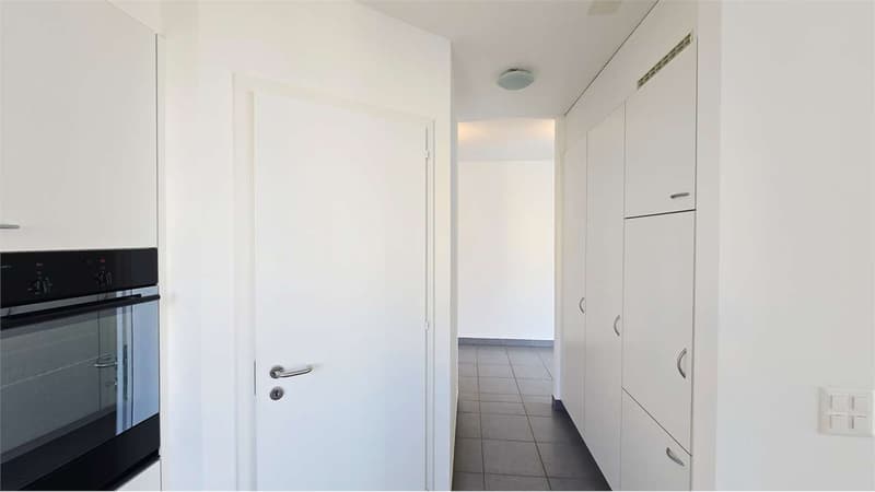 Elegante 3.5 locali con grande terrazza - Pregassona (12)