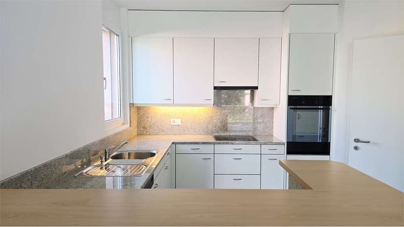 Elegante 3.5 locali con grande terrazza - Pregassona (9)