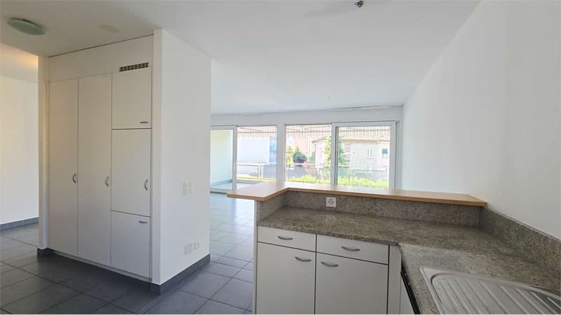 Elegante 3.5 locali con grande terrazza - Pregassona (2)