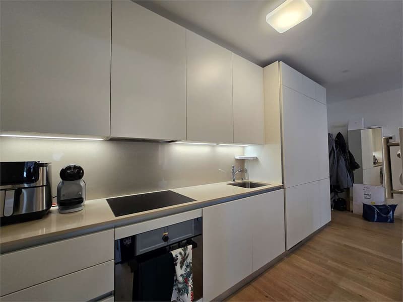 Moderno 2.5 locali con terrazza - Residenza Minergie ad Agno (7)