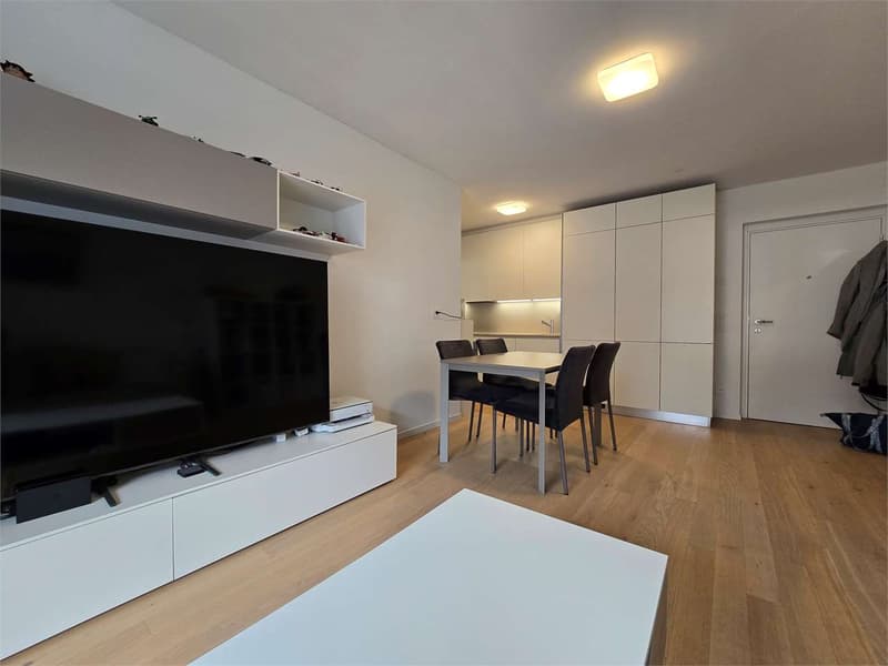 Moderno 2.5 locali con terrazza - Residenza Minergie ad Agno (9)
