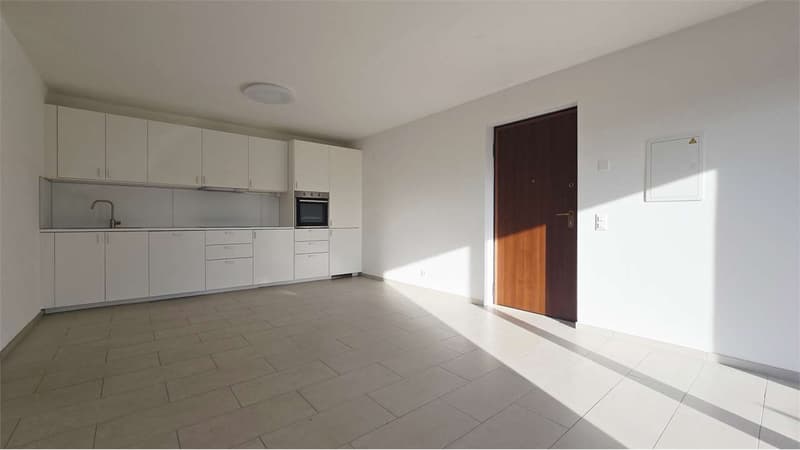 Moderno appartamento di 2.5 locali con terrazza e giardino - Vernate (3)