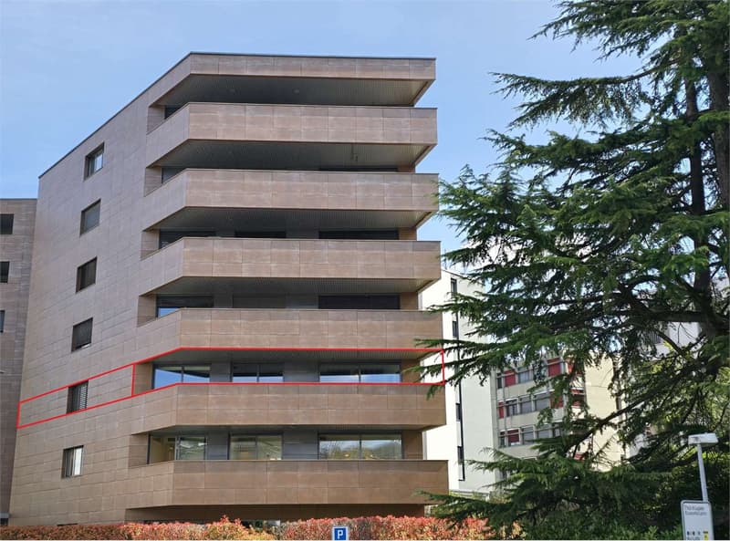 Elegante 4.5 con terrazza e lavanderia in casa (5)