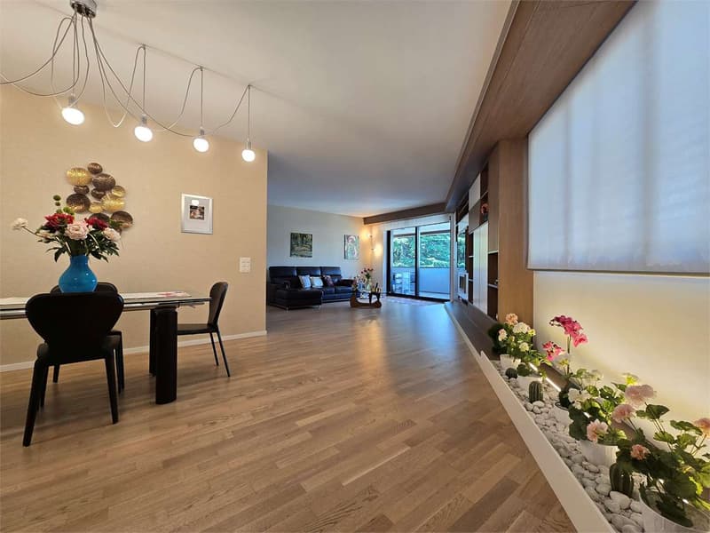Elegante 4.5 con terrazza e lavanderia in casa (2)