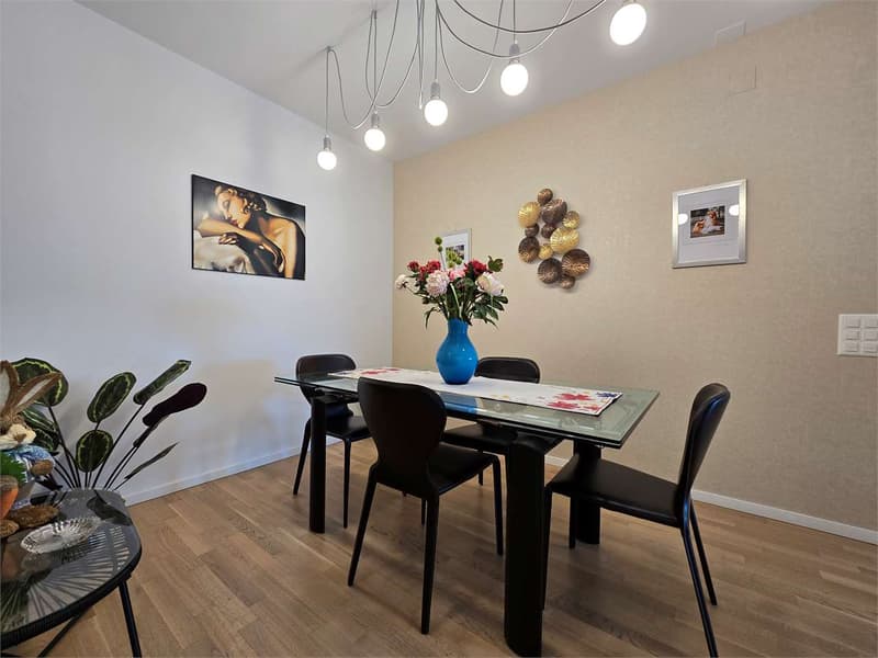 Elegante 4.5 con terrazza e lavanderia in casa (7)