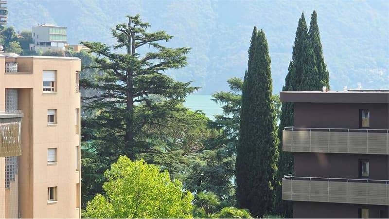 3.5 locali al 6 piano - A 100 metri dal lago - Ottimo Investimento (9)