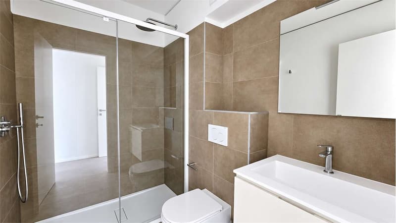 Moderno appartamento 2.5 locali - Ottimo anche come investimento a red (4)