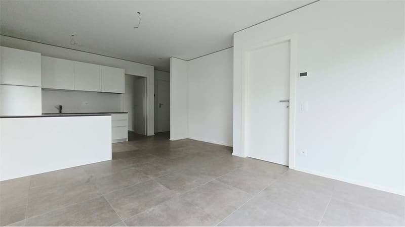 Moderno appartamento 2.5 locali - Ottimo anche come investimento a red (9)