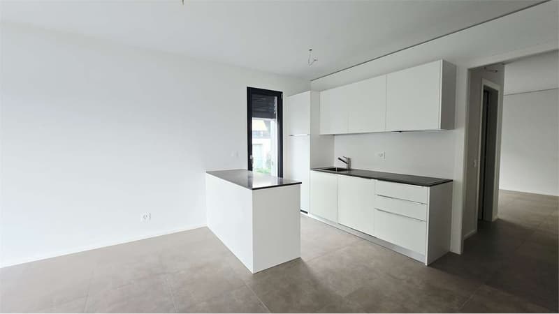 Moderno appartamento 2.5 locali - Ottimo anche come investimento a red (8)
