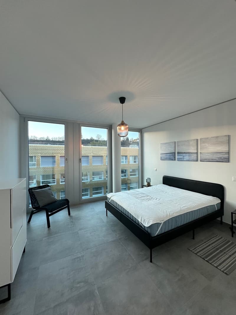 Lugano-Paradiso Stupendo appartamento (all'ultimo piano) di 4.5 locali arredato, in prima locazione (2)