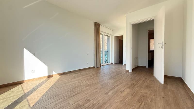 Ampio Attico 4,5 locali con terrazzo vista lago (13)