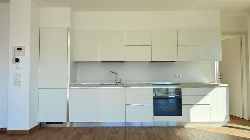 Ampio Attico 4,5 locali con terrazzo vista lago (8)