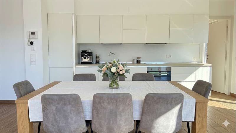 Ampio Attico 4,5 locali con terrazzo vista lago (7)