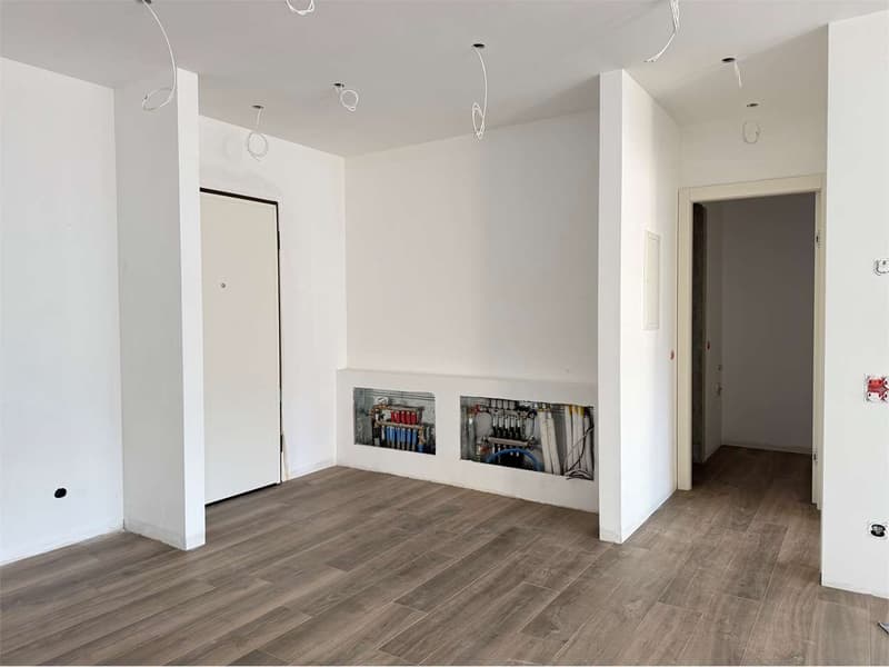 Vista lago, nuovo appartamento 2,5 con terrazzo (10)