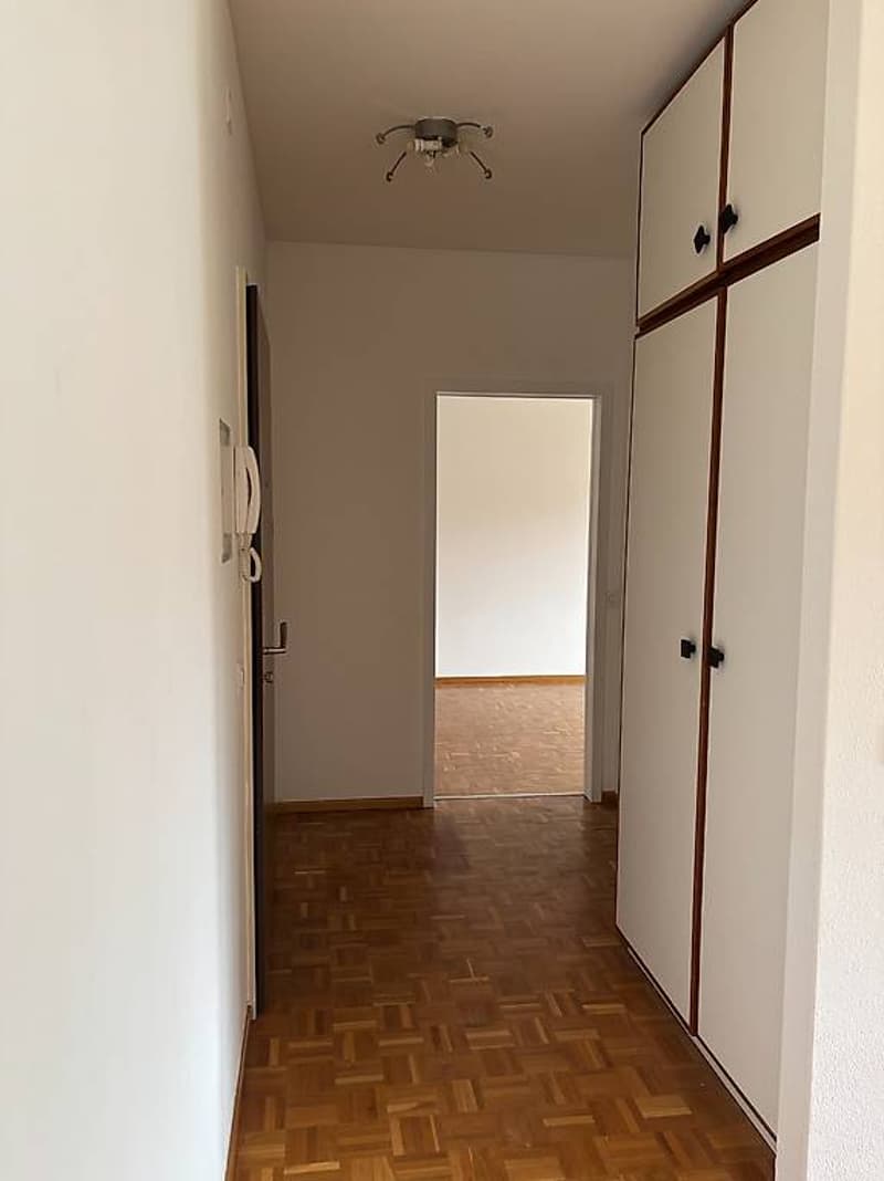 Breganzona, grazioso 2.5 locali al 4. e ultimo piano (6)
