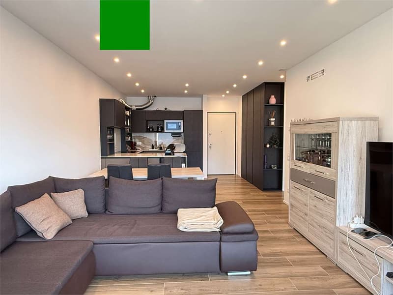 Vista lago, nuovo appartamento 2,5 con terrazzo (5)