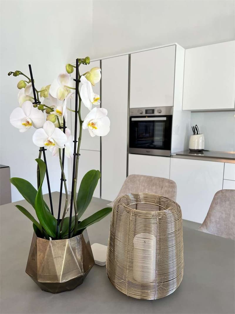 Affitto transitorio vista lago: elegante trilocale con terrazzo (Ottob (9)