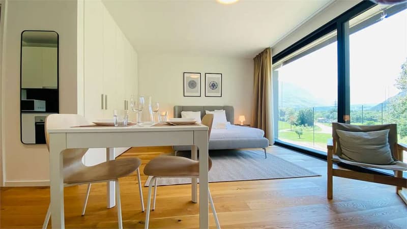 Moderna Residenza di 13 Unità Immobiliari  - Posizione Strategica e So (9)