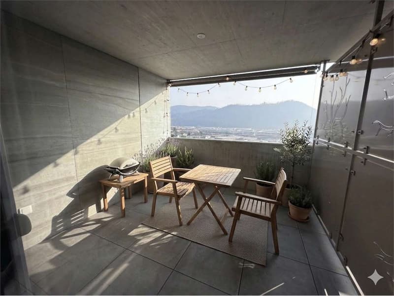 Luminoso 3,5 con ampi terrazzi (8)