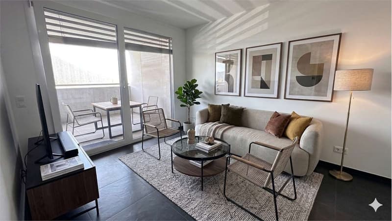 Luminoso appartamento 2,5 con ampio terrazzo (2)