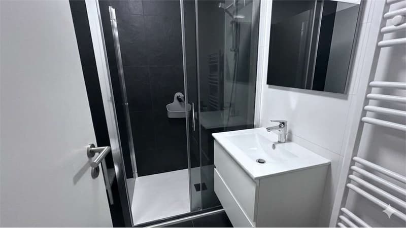 Luminoso appartamento 2,5 con ampio terrazzo (4)