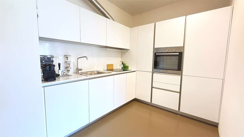 Luminoso e Ampio appartamento 4,5 con grande terrazzo (6)